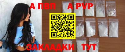 шишки Кингисепп