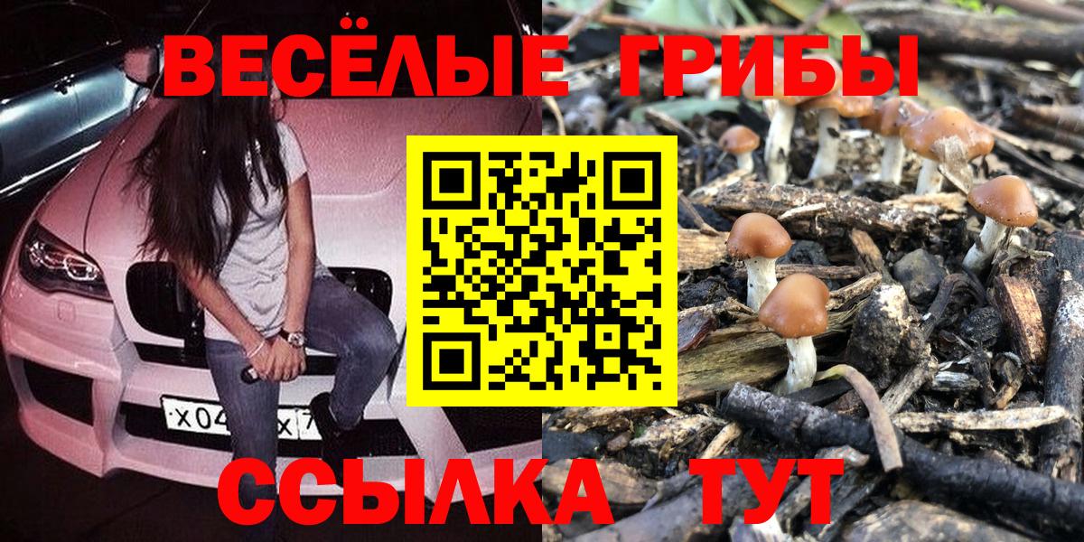 дарнет шоп  Вход с VPN  Кстово  Псилоцибиновые грибы мицелий 
