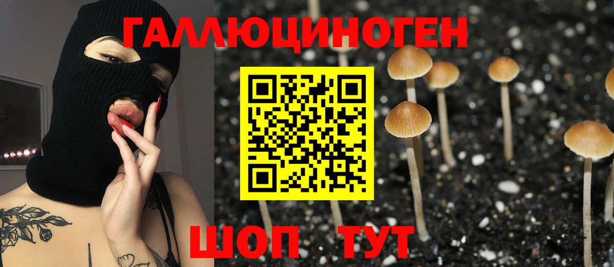 Псилоцибиновые грибы ЛСД Кстово