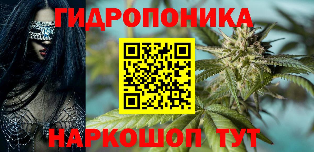 Канабис сатива  Марихуана гибрид  Бошки Шишки сатива  Кстово  Вход с VPN  Каннабис Ganja 